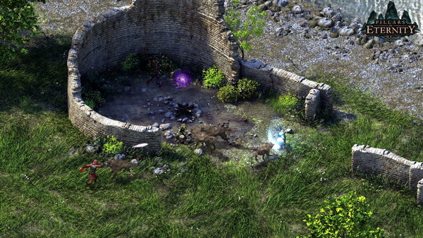 永恒之柱：完全版.Pillars of Eternity: Complete Edition