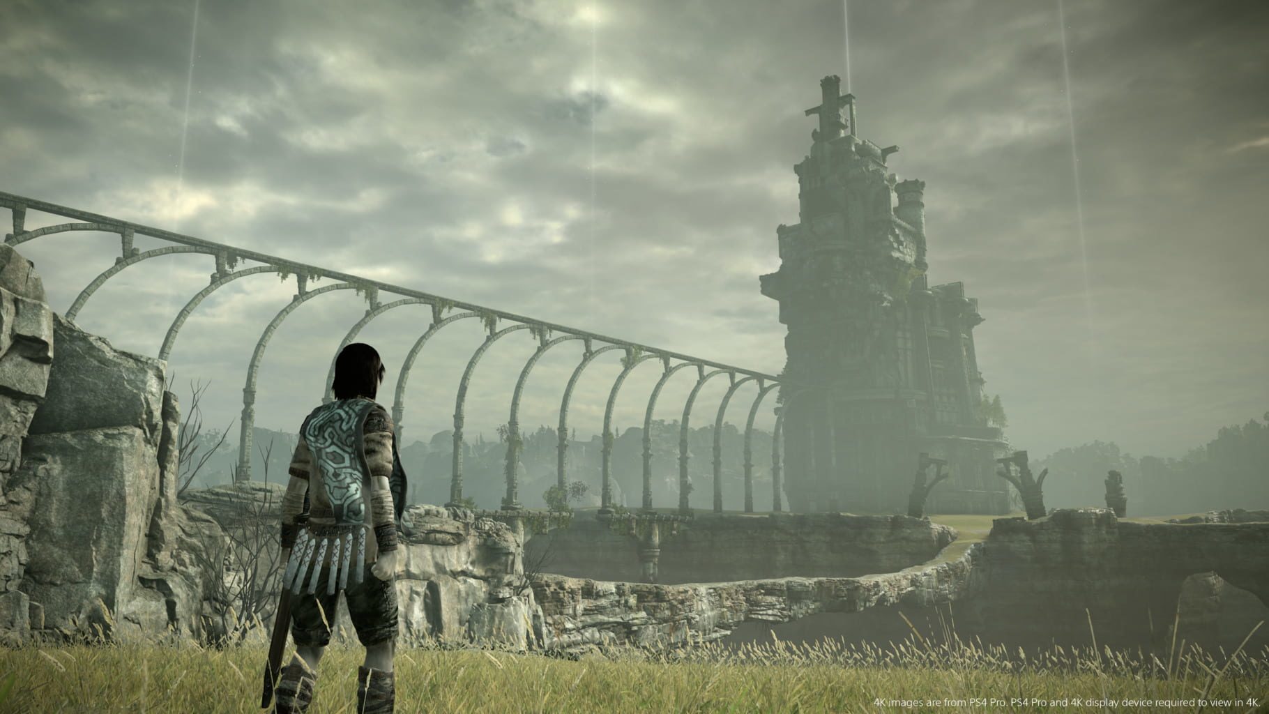 旺达与巨像：重制版.Shadow of the Colossus